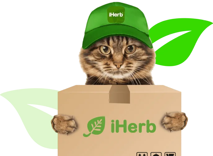 Кот в кепке iHerb с коробкой