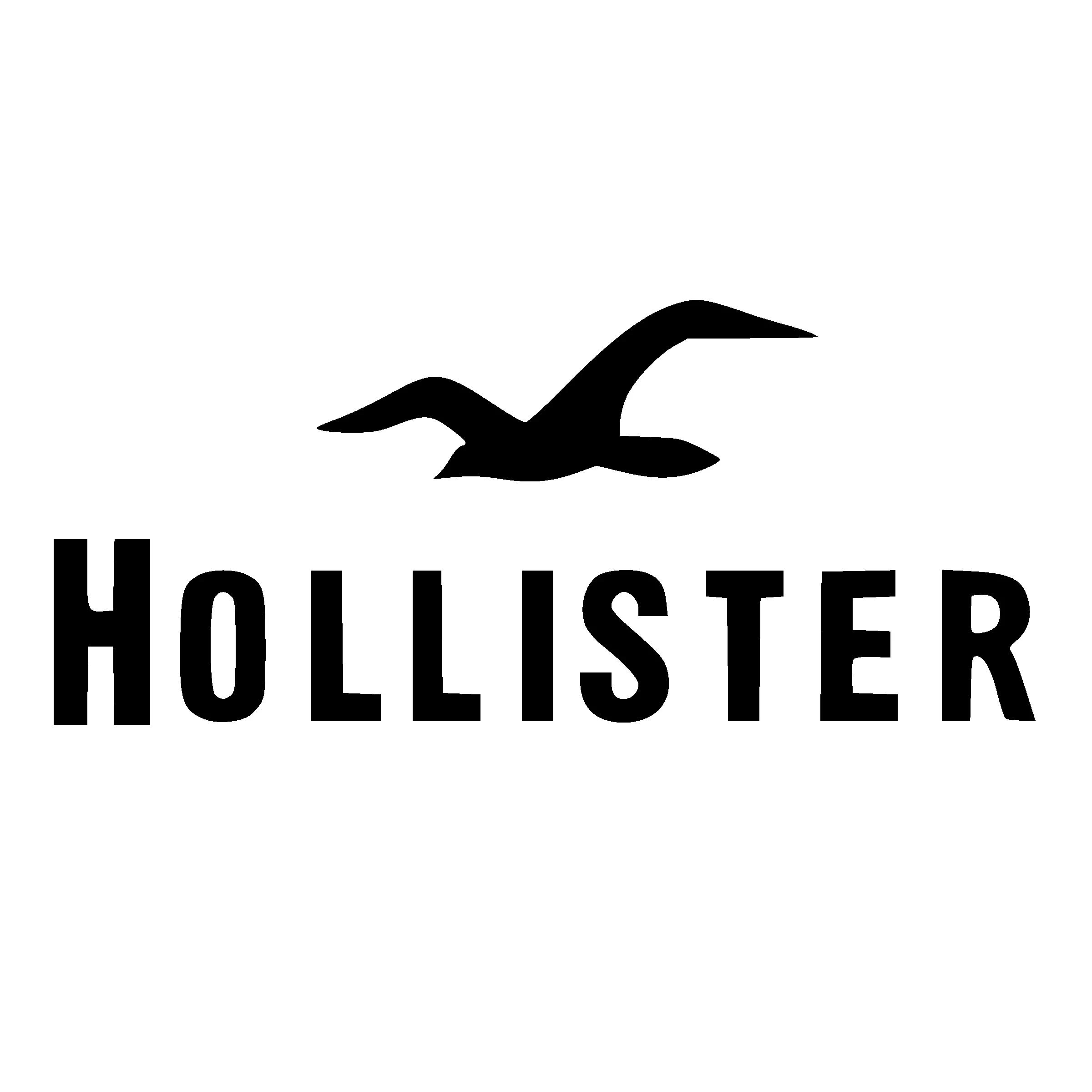 Hollister Co.